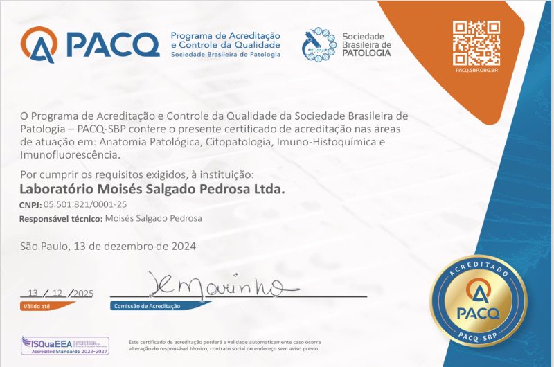 Certificado 01 - NOVO